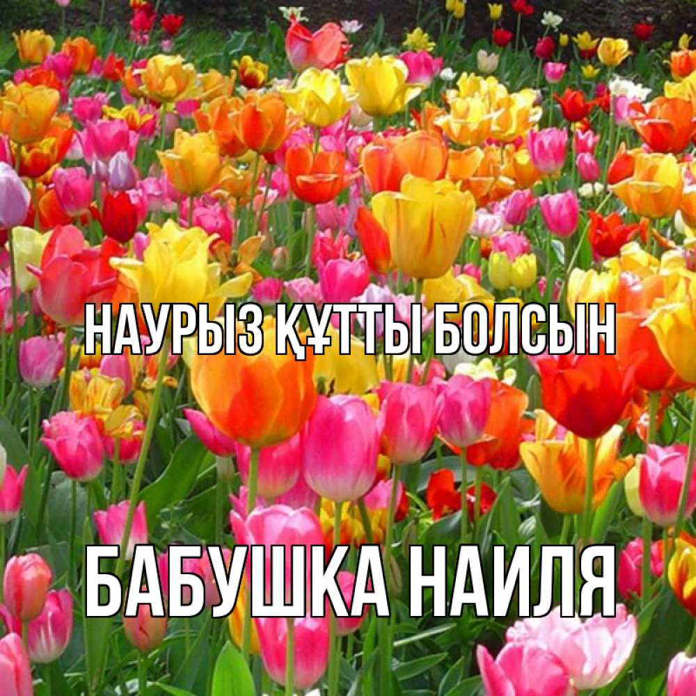 Открытка на каждый день с именем, Бабушка-Наиля Наурыз құтты болсын на наурыз  ура ура Прикольная открытка с пожеланием онлайн скачать бесплатно 