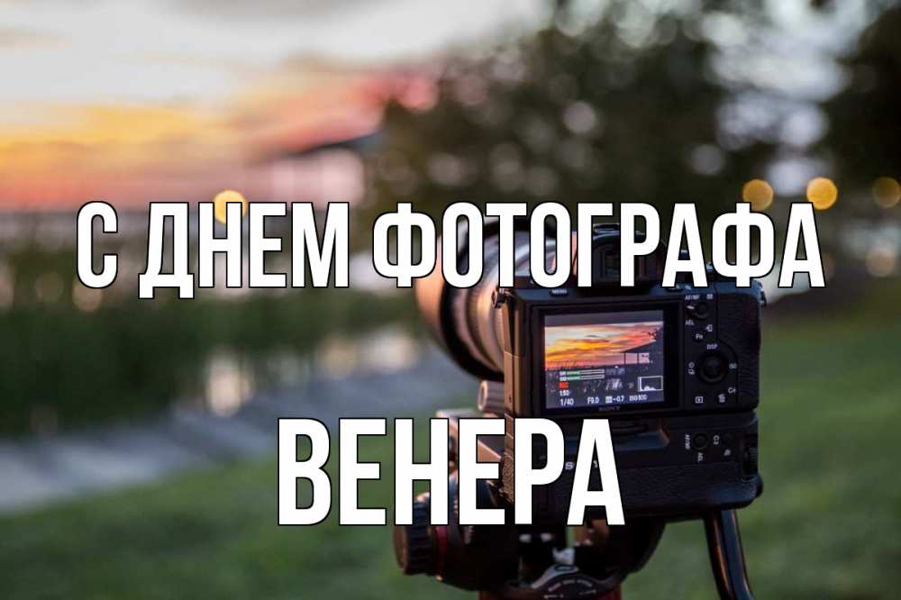 Открытка на каждый день с именем, Венера С днем фотографа с днем фотографа Прикольная открытка с пожеланием онлайн скачать бесплатно 