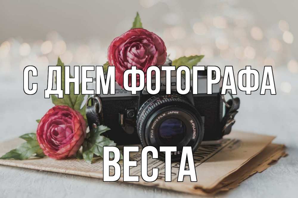Открытка на каждый день с именем, Веста С днем фотографа с днем фотографа Прикольная открытка с пожеланием онлайн скачать бесплатно 
