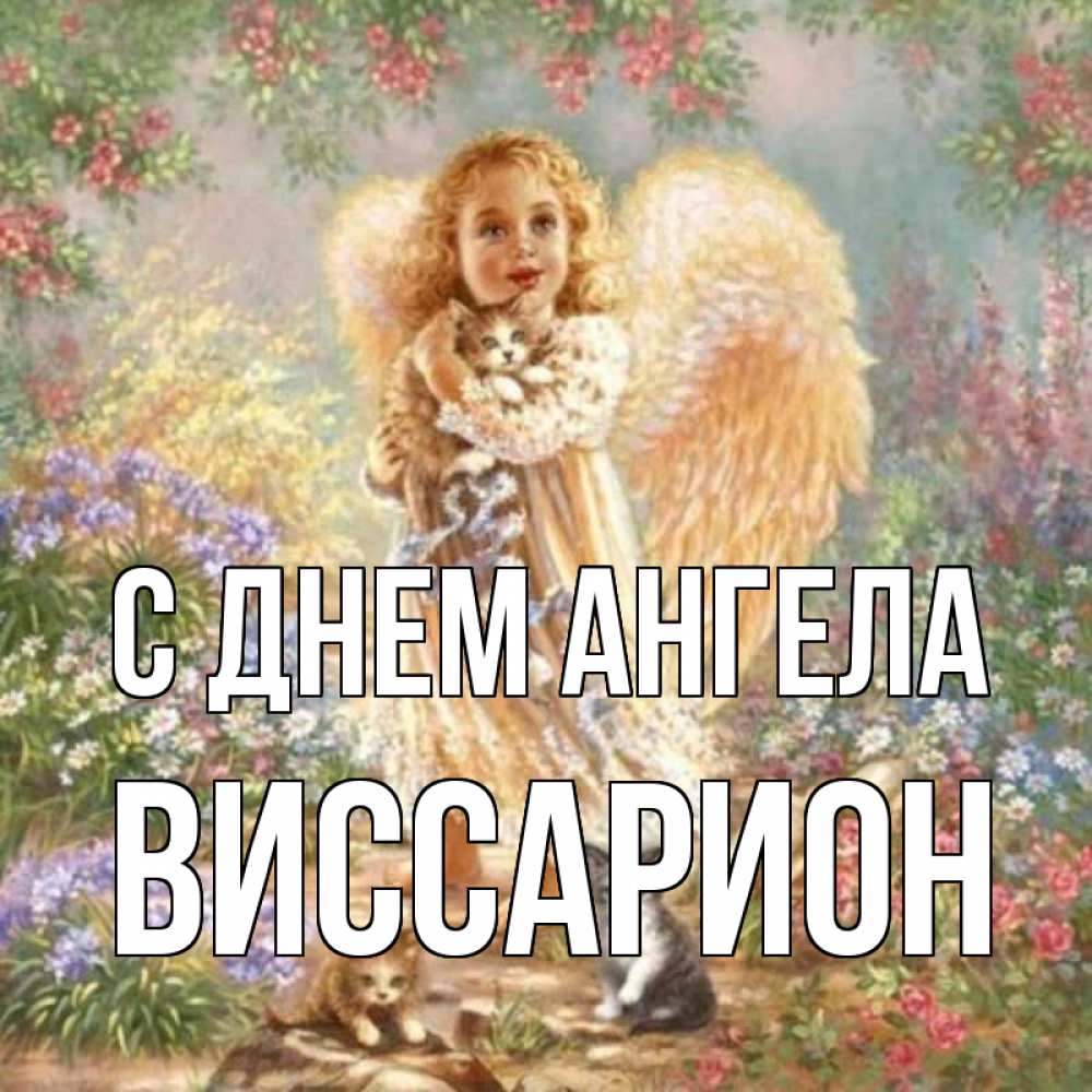 Открытка на каждый день с именем, Виссарион С днем ангела держит котенка Прикольная открытка с пожеланием онлайн скачать бесплатно 