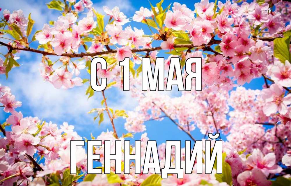 Открытка на каждый день с именем, Геннадий С 1 мая С 1 мая Прикольная открытка с пожеланием онлайн скачать бесплатно 