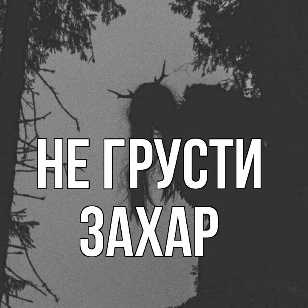 Открытка на каждый день с именем, Захар Не грусти чудище лесное Прикольная открытка с пожеланием онлайн скачать бесплатно 