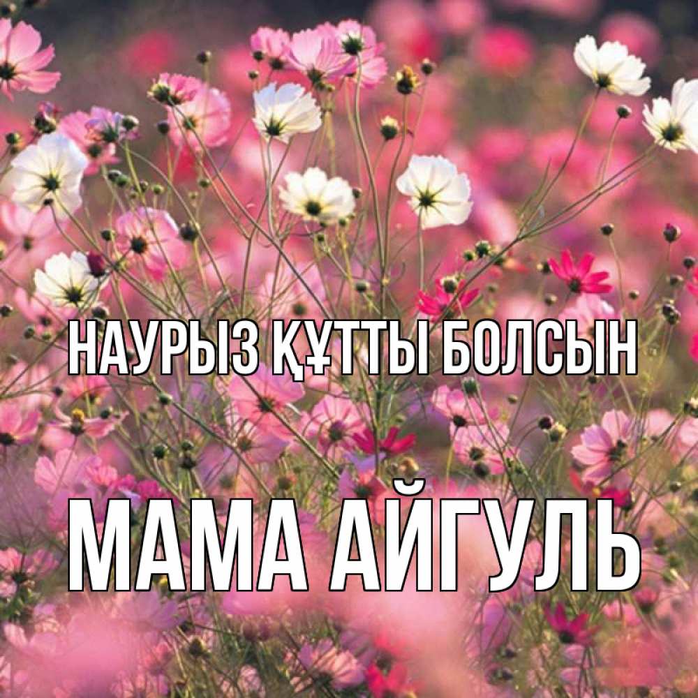 Открытка на каждый день с именем, Мама-Айгуль Наурыз құтты болсын красиво 1 Прикольная открытка с пожеланием онлайн скачать бесплатно 