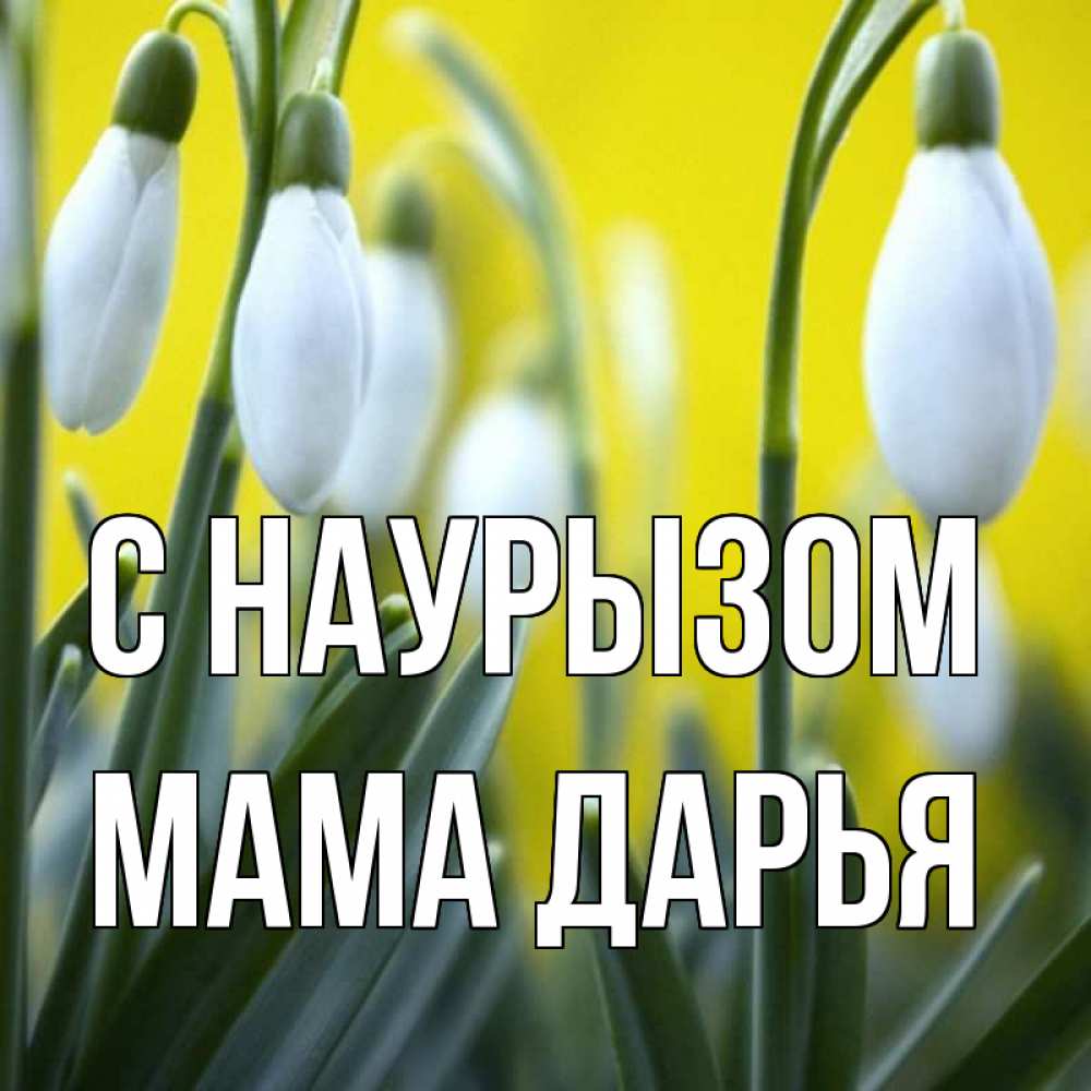 Открытка на каждый день с именем, Мама-Дарья С наурызом весенние цветы Прикольная открытка с пожеланием онлайн скачать бесплатно 