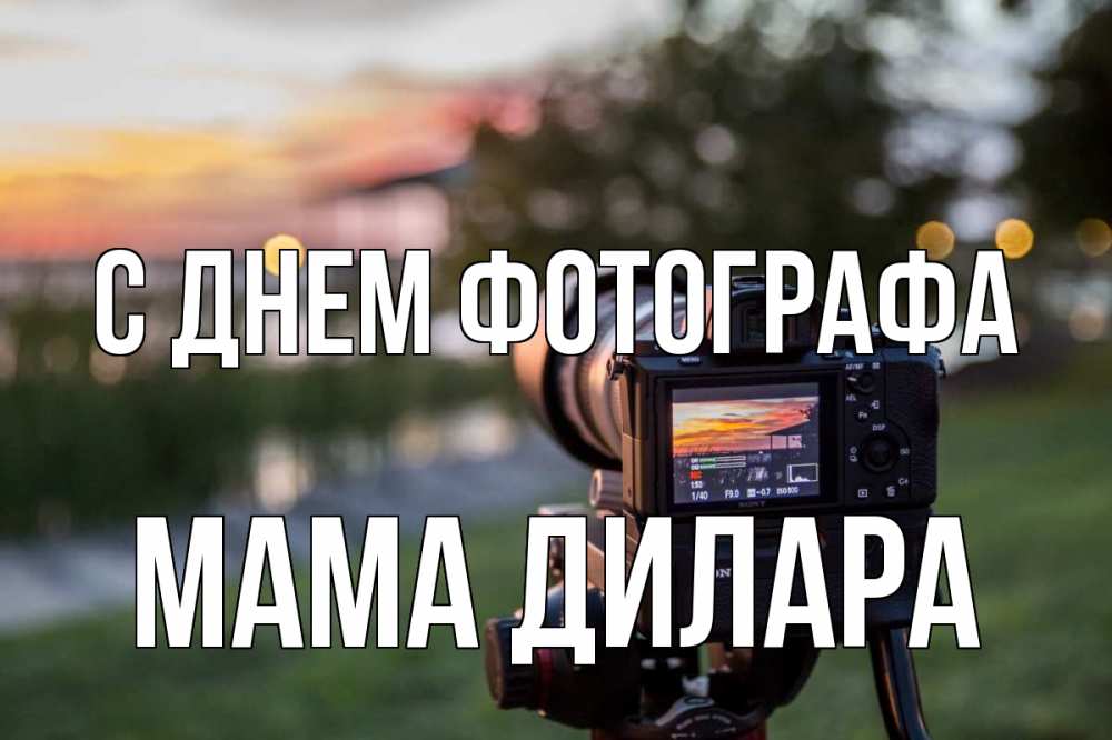 Открытка на каждый день с именем, Мама-Дилара С днем фотографа с днем фотографа Прикольная открытка с пожеланием онлайн скачать бесплатно 