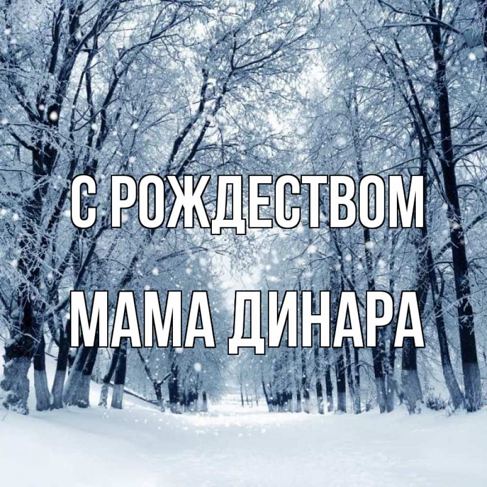 Открытка на каждый день с именем, Мама-Динара С рождеством снег, лес, парк Прикольная открытка с пожеланием онлайн скачать бесплатно 