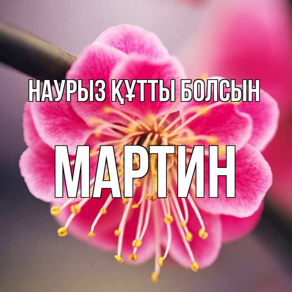 Открытка на каждый день с именем, Мартин Наурыз құтты болсын цветы Прикольная открытка с пожеланием онлайн скачать бесплатно 