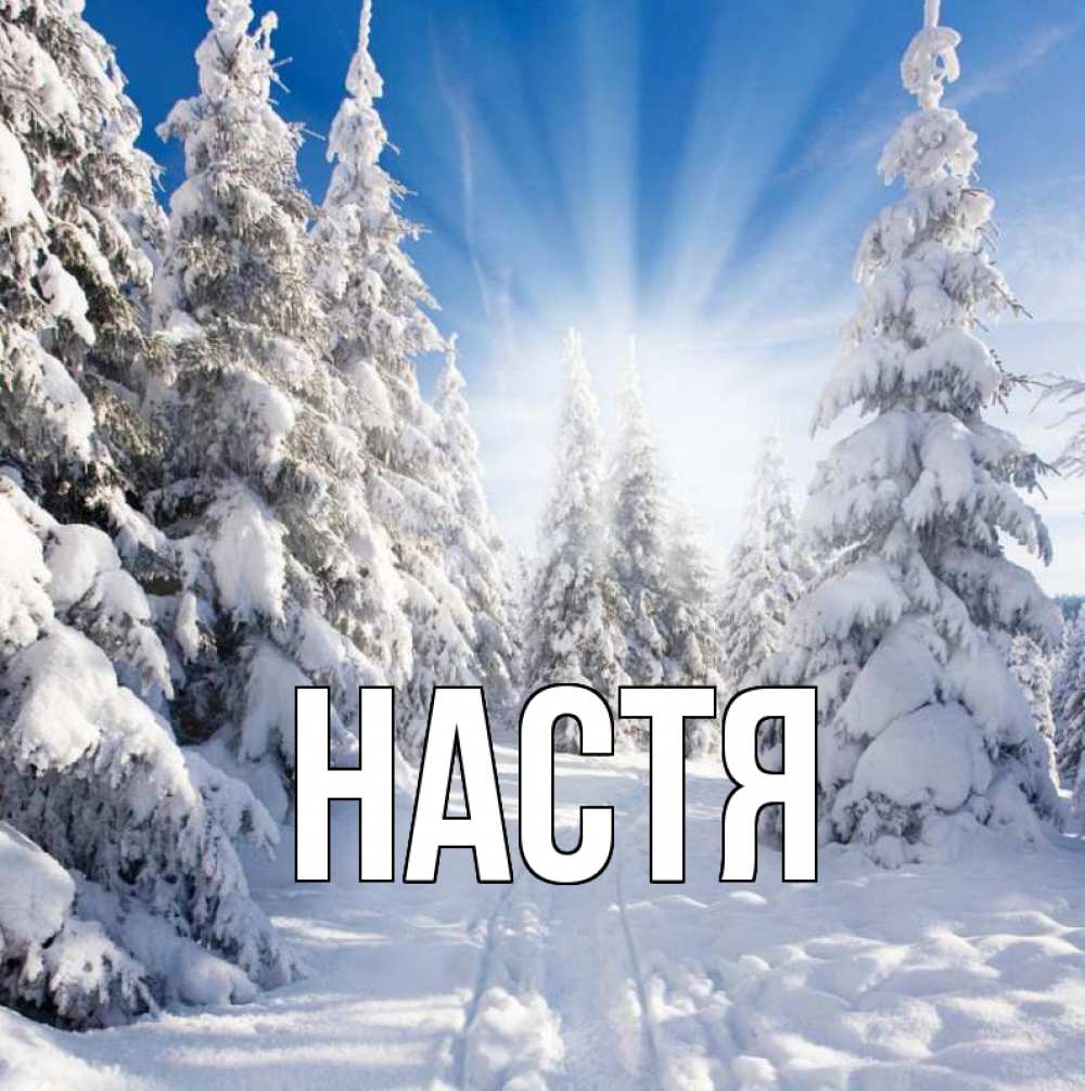 Открытка на каждый день с именем, Настя Главная зима, лес Прикольная открытка с пожеланием онлайн скачать бесплатно 