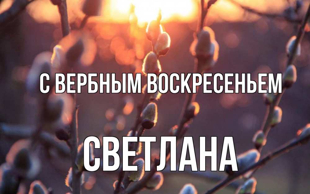 Открытка на каждый день с именем, Светлана С вербным воскресеньем верба Прикольная открытка с пожеланием онлайн скачать бесплатно 