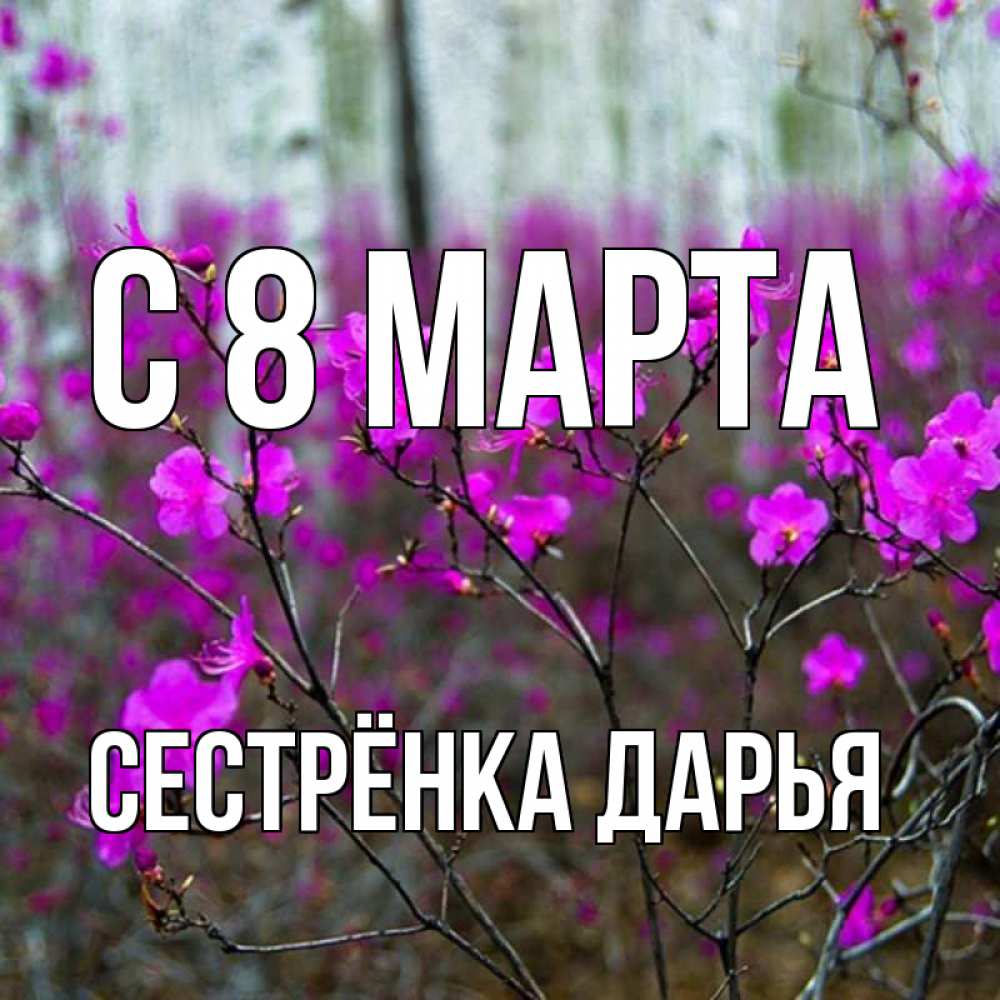 Открытка на каждый день с именем, Сестрёнка-Дарья С 8 МАРТА дикие цветы Прикольная открытка с пожеланием онлайн скачать бесплатно 