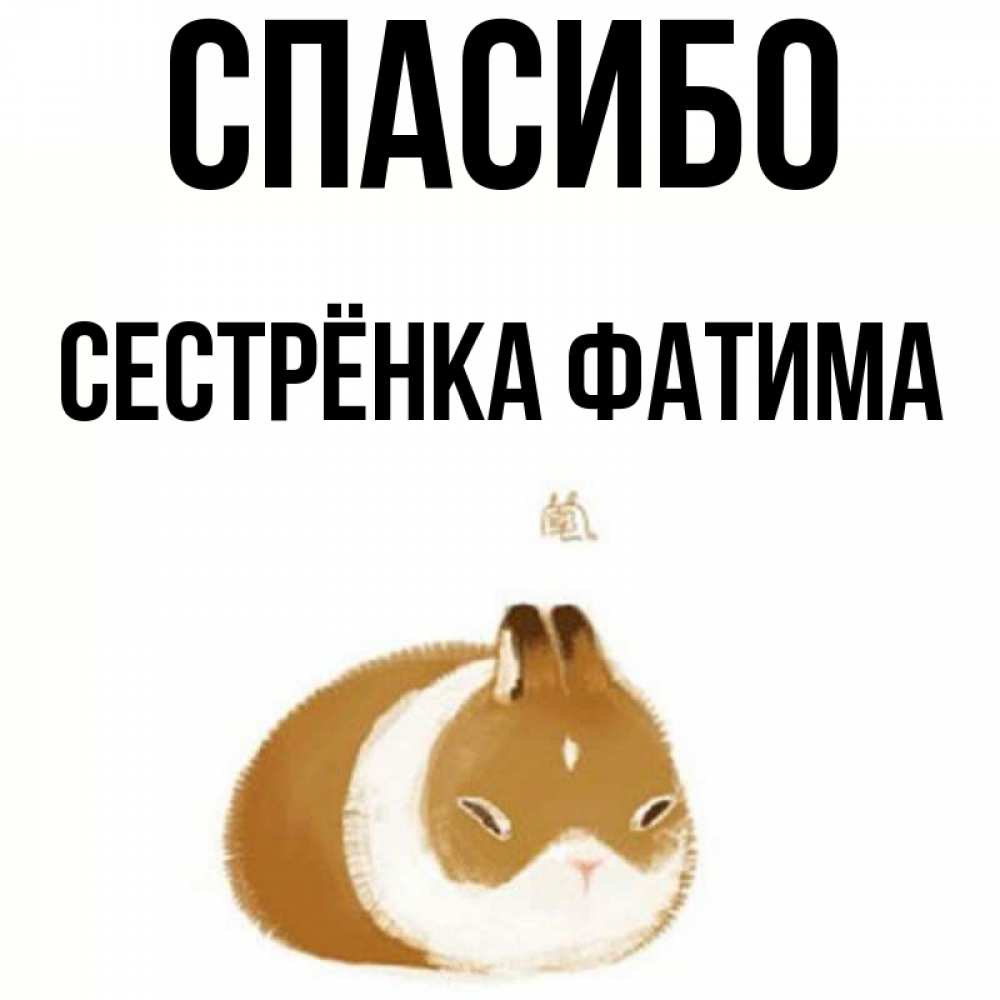 Открытка на каждый день с именем, Сестрёнка-Фатима Спасибо коричнево белый домашний питомец Прикольная открытка с пожеланием онлайн скачать бесплатно 