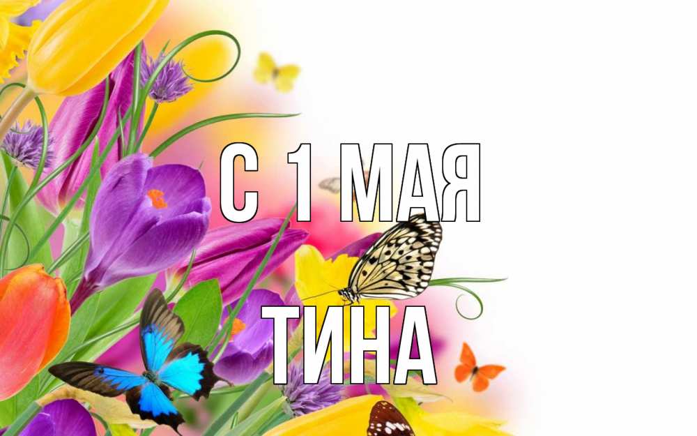 Открытка на каждый день с именем, Тина С 1 мая С 1 мая Прикольная открытка с пожеланием онлайн скачать бесплатно 