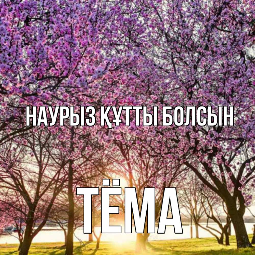 Открытка на каждый день с именем, Тёма Наурыз құтты болсын наурыз Прикольная открытка с пожеланием онлайн скачать бесплатно 