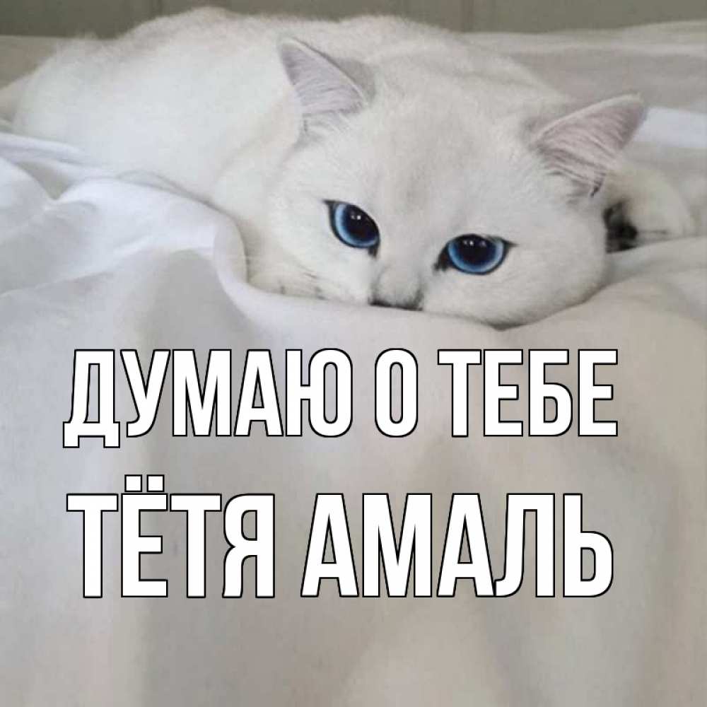 Открытка на каждый день с именем, Тётя-Амаль Думаю о тебе я очень по тебе скучаю и тоскую Прикольная открытка с пожеланием онлайн скачать бесплатно 