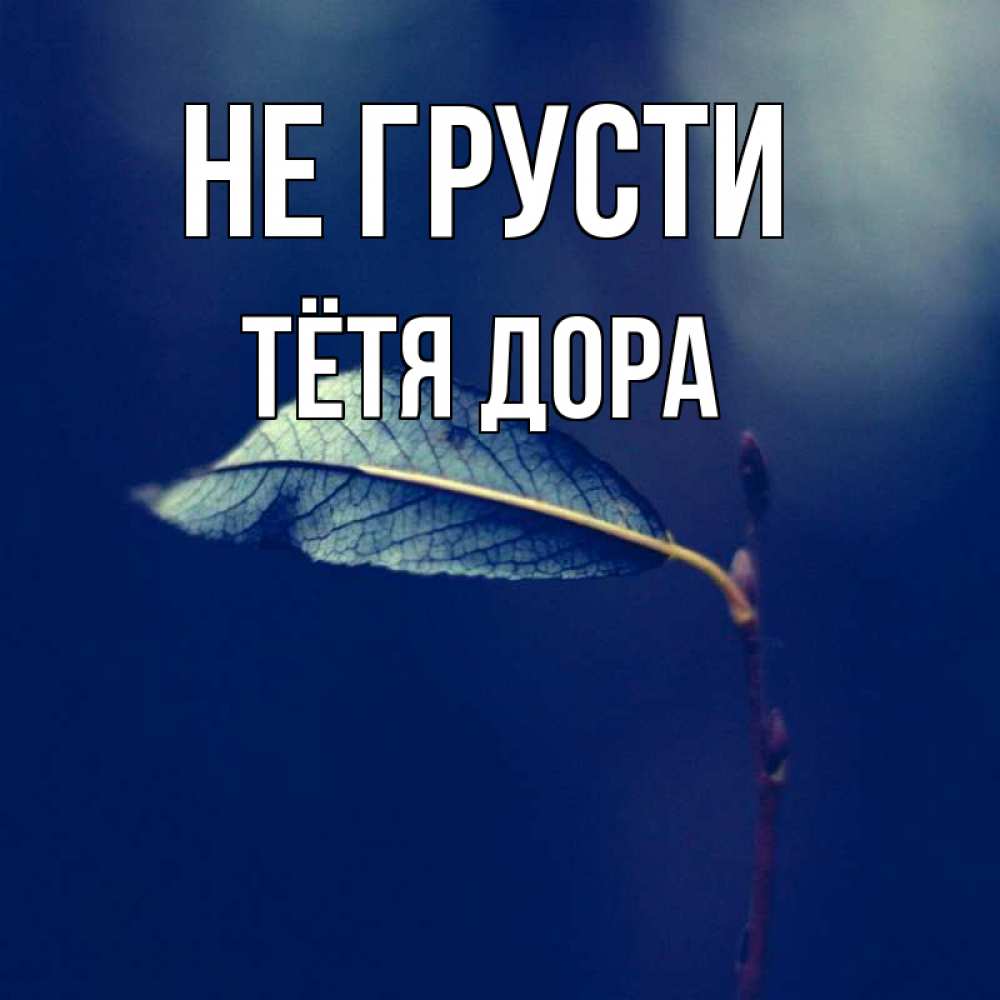 Открытка на каждый день с именем, Тётя-Дора Не грусти растение Прикольная открытка с пожеланием онлайн скачать бесплатно 