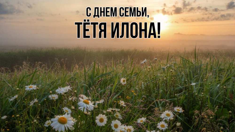 Открытка на каждый день с именем, Тётя-Илона С днем семьи с днем семьи Прикольная открытка с пожеланием онлайн скачать бесплатно 