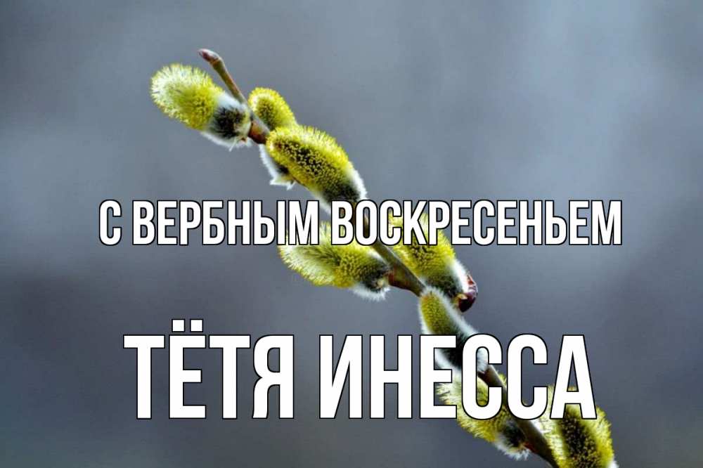 Открытка на каждый день с именем, Тётя-Инесса С вербным воскресеньем верба Прикольная открытка с пожеланием онлайн скачать бесплатно 