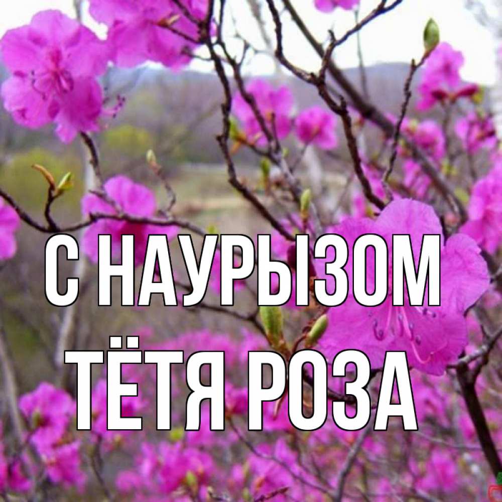 Открытка на каждый день с именем, Тётя-Роза С наурызом праздник весны наурыз Прикольная открытка с пожеланием онлайн скачать бесплатно 
