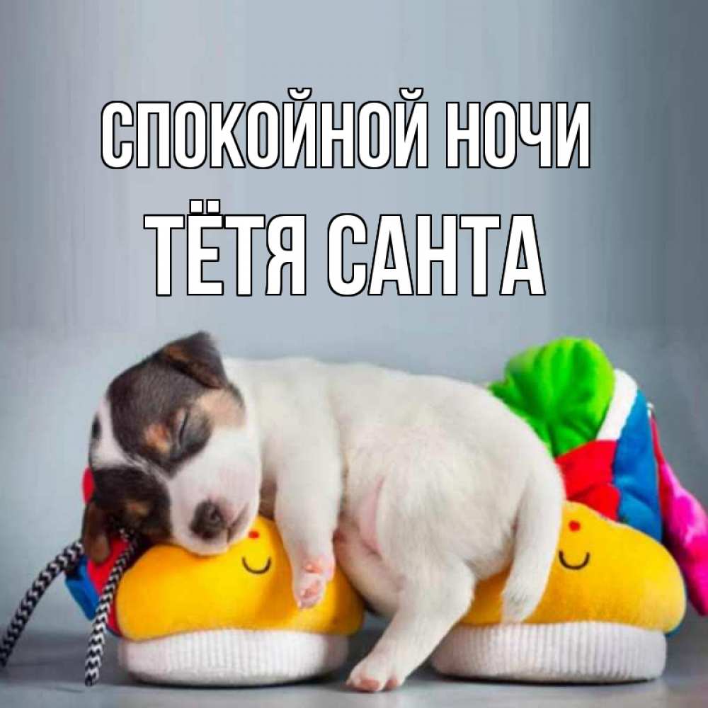 Открытка на каждый день с именем, Тётя-Санта Спокойной ночи собачка Прикольная открытка с пожеланием онлайн скачать бесплатно 