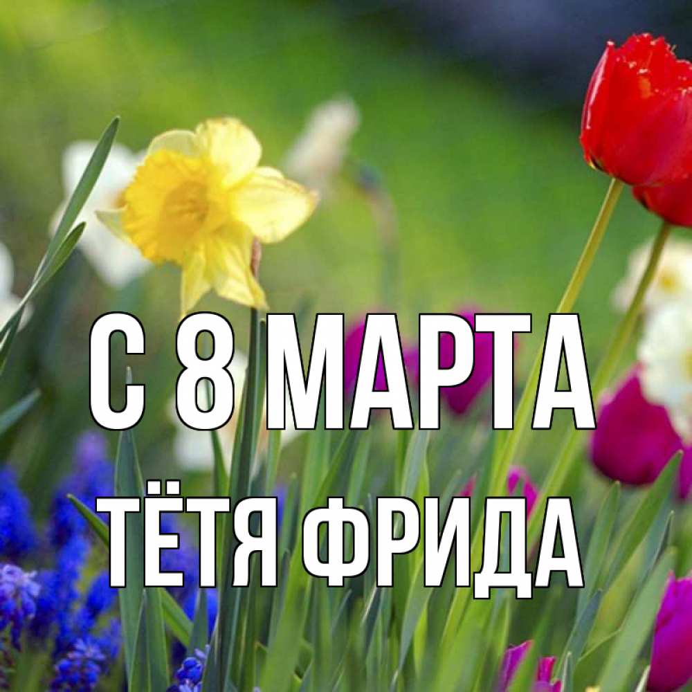 Открытка на каждый день с именем, Тётя-Фрида С 8 МАРТА международный женский день 3 Прикольная открытка с пожеланием онлайн скачать бесплатно 