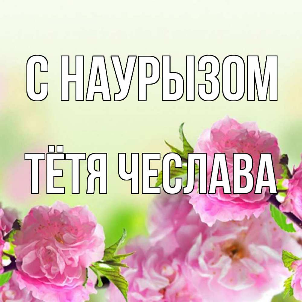 Открытка на каждый день с именем, Тётя-Чеслава С наурызом цветы Прикольная открытка с пожеланием онлайн скачать бесплатно 