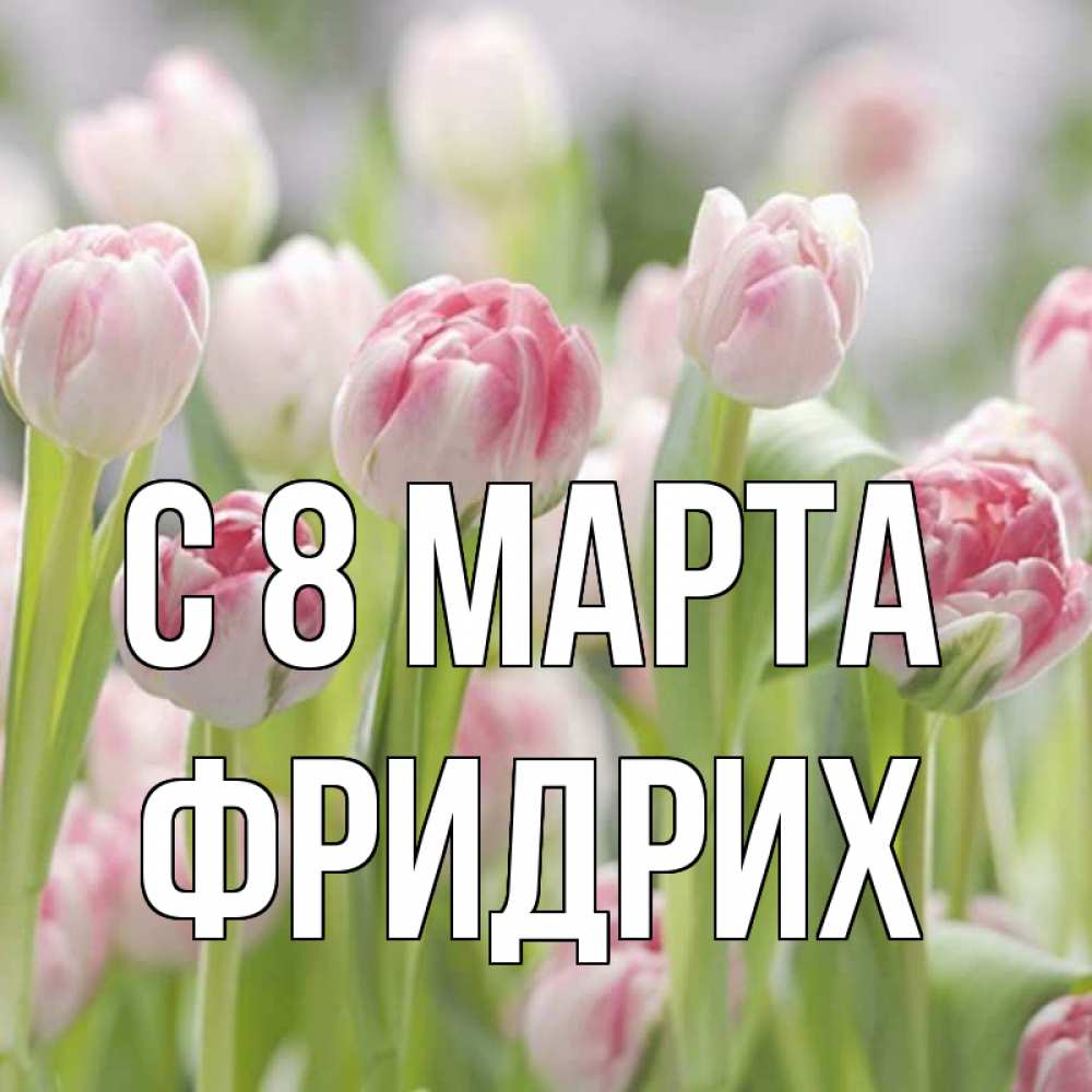 Открытка на каждый день с именем, Фридрих С 8 МАРТА цветы Прикольная открытка с пожеланием онлайн скачать бесплатно 