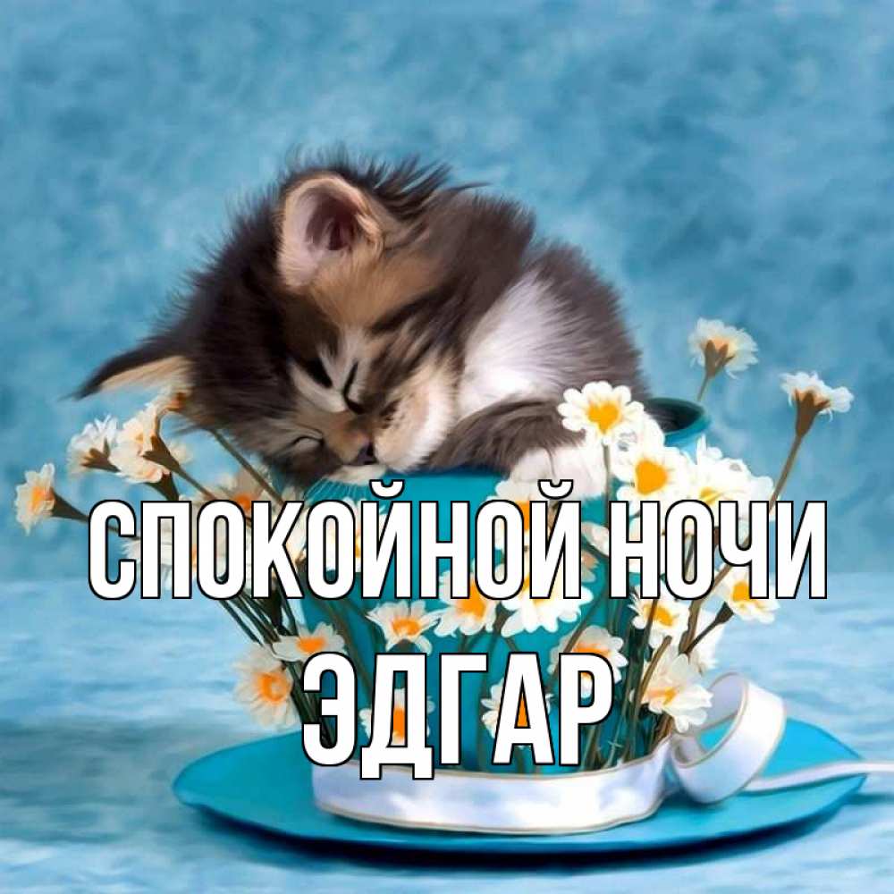 Открытка на каждый день с именем, Эдгар Спокойной ночи котенок спит в кружке с блюдцем Прикольная открытка с пожеланием онлайн скачать бесплатно 