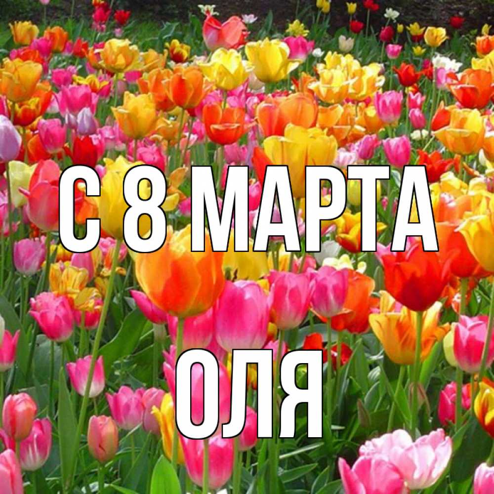 Открытка на каждый день с именем, оля С 8 марта на международный женский день Прикольная открытка с пожеланием онлайн скачать бесплатно 