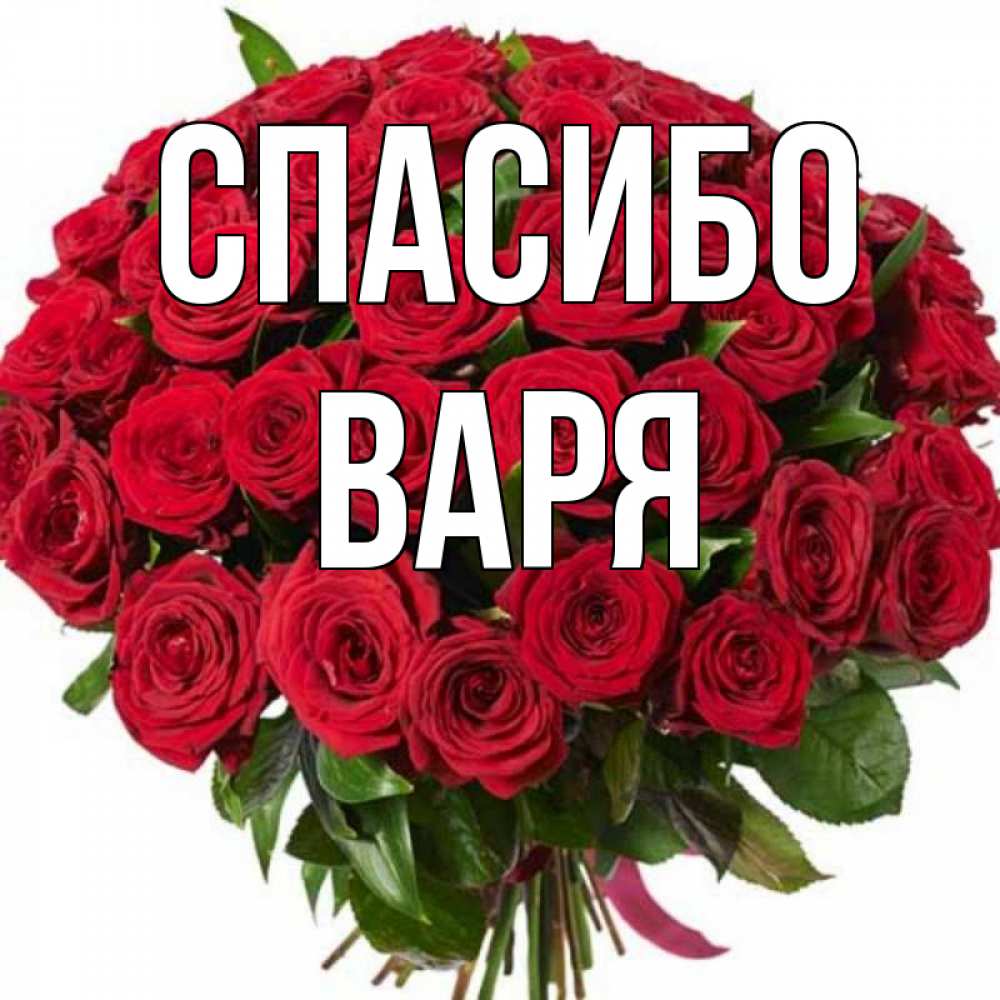 Привет варя картинки