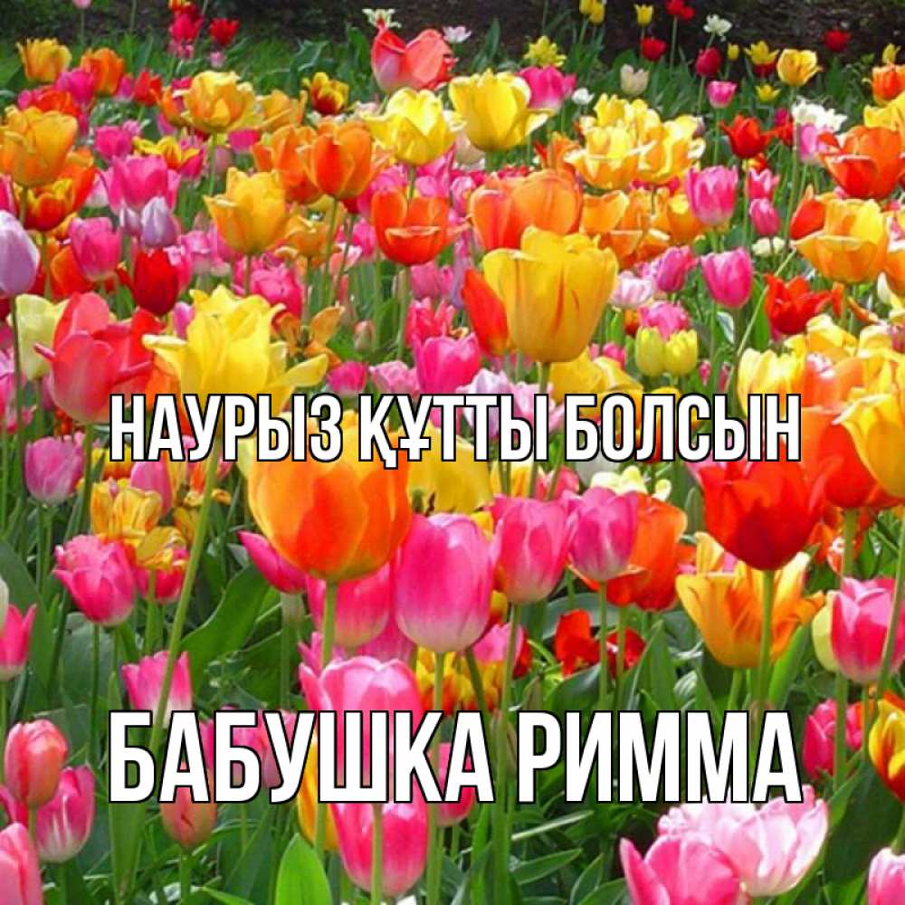 Открытка на каждый день с именем, Бабушка-Римма Наурыз құтты болсын на наурыз  ура ура Прикольная открытка с пожеланием онлайн скачать бесплатно 