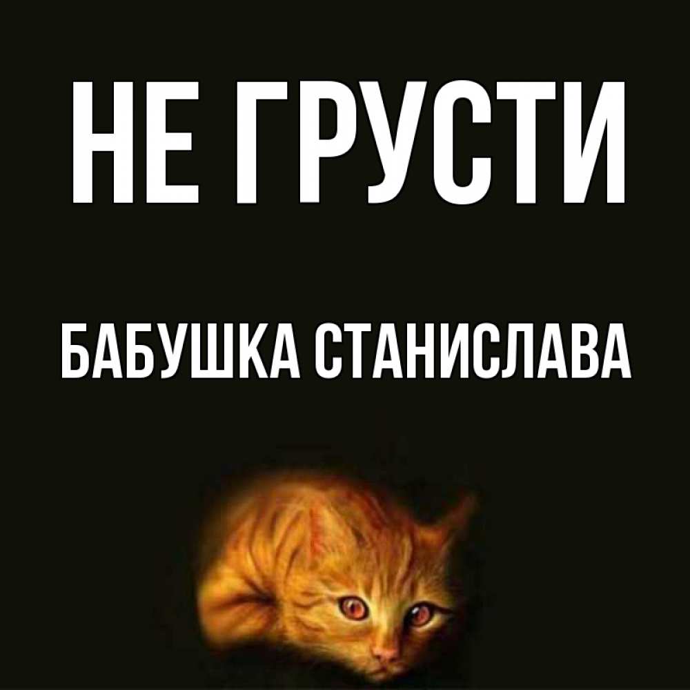 Открытка на каждый день с именем, Бабушка-Станислава Не грусти лежащий кот в темноте Прикольная открытка с пожеланием онлайн скачать бесплатно 