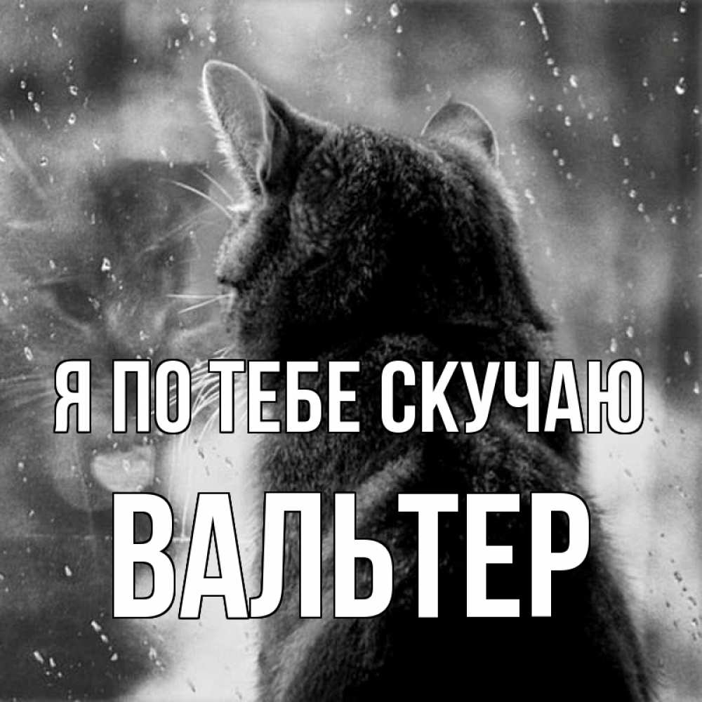Открытка на каждый день с именем, Вальтер Я по тебе скучаю скорее ко мне приходи 1 Прикольная открытка с пожеланием онлайн скачать бесплатно 