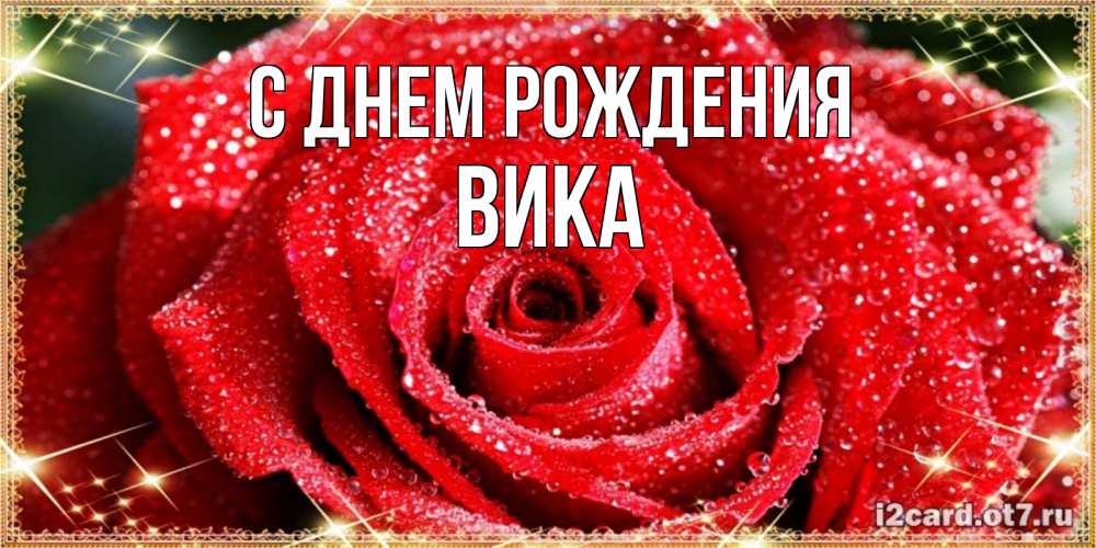 Открытка на каждый день с именем, Вика С днем рождения роса и роза. открытка с красивой розой Прикольная открытка с пожеланием онлайн скачать бесплатно 