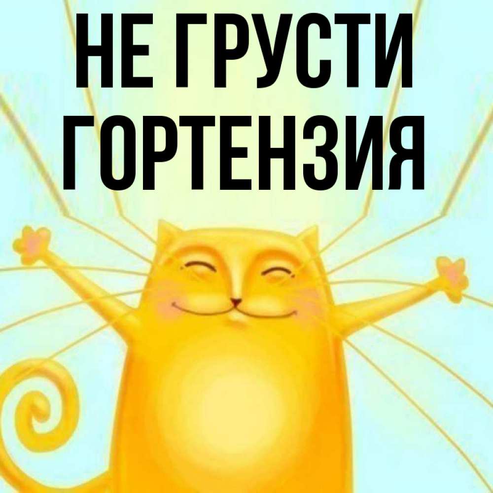 Открытка на каждый день с именем, Гортензия Не грусти обнимашки усатые Прикольная открытка с пожеланием онлайн скачать бесплатно 