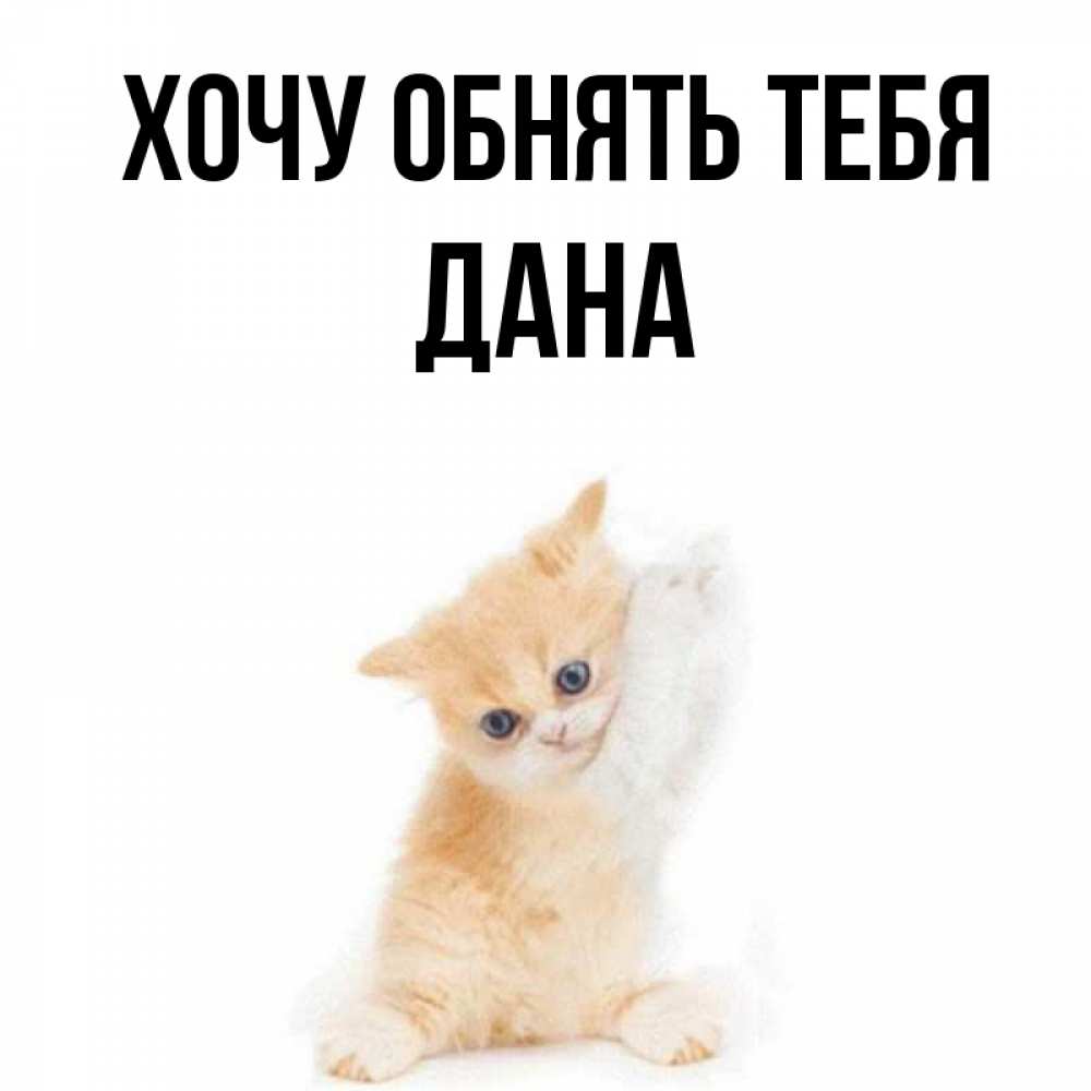 Открытка на каждый день с именем, Дана Хочу обнять тебя я хочу очень скорее обнимаешек Прикольная открытка с пожеланием онлайн скачать бесплатно 