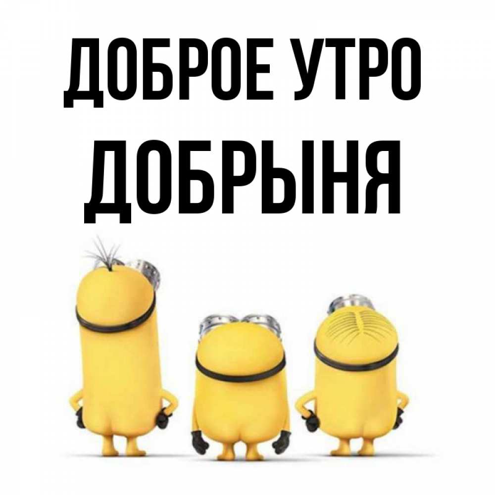 Открытка на каждый день с именем, Добрыня Доброе утро подписать открытку онлайн бесплатно Прикольная открытка с пожеланием онлайн скачать бесплатно 
