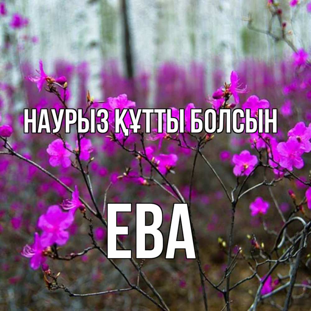 Открытка на каждый день с именем, Ева Наурыз құтты болсын дикие цветы Прикольная открытка с пожеланием онлайн скачать бесплатно 