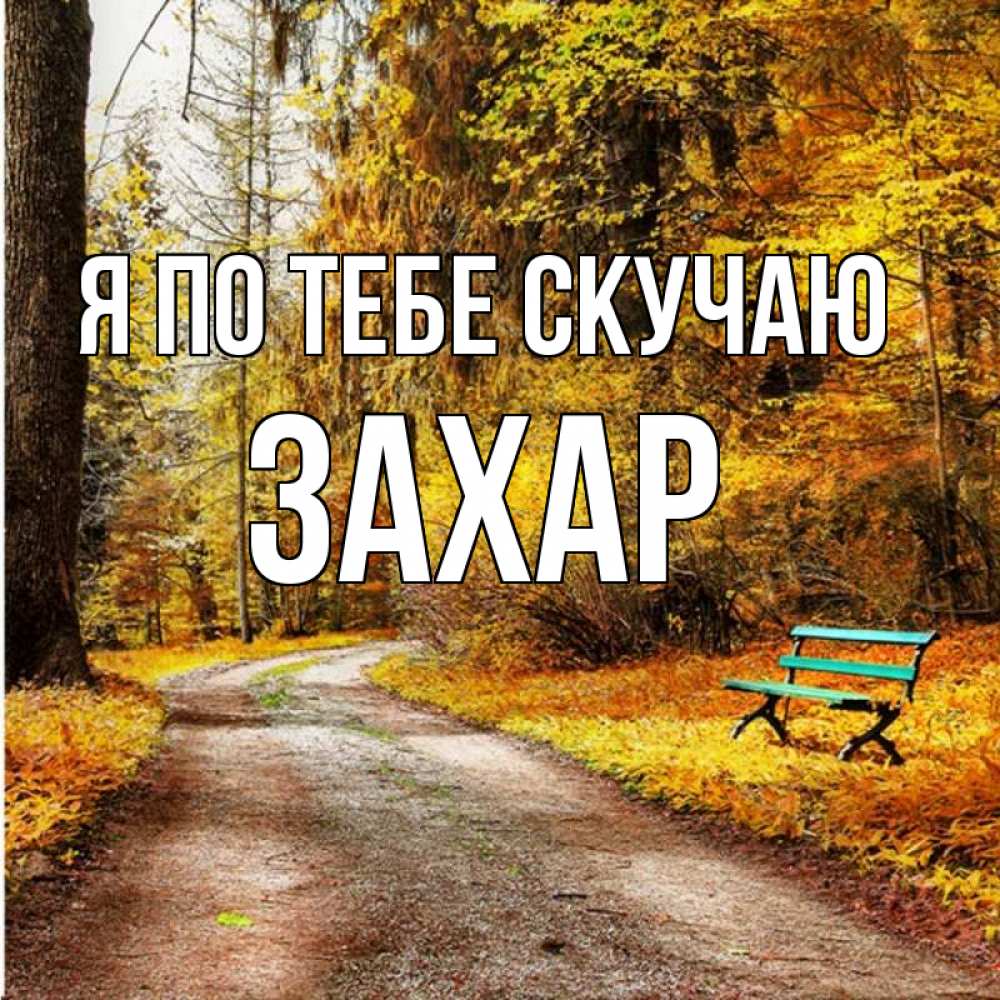 Открытка на каждый день с именем, Захар Я по тебе скучаю зеленая лавочка и осенний лес Прикольная открытка с пожеланием онлайн скачать бесплатно 