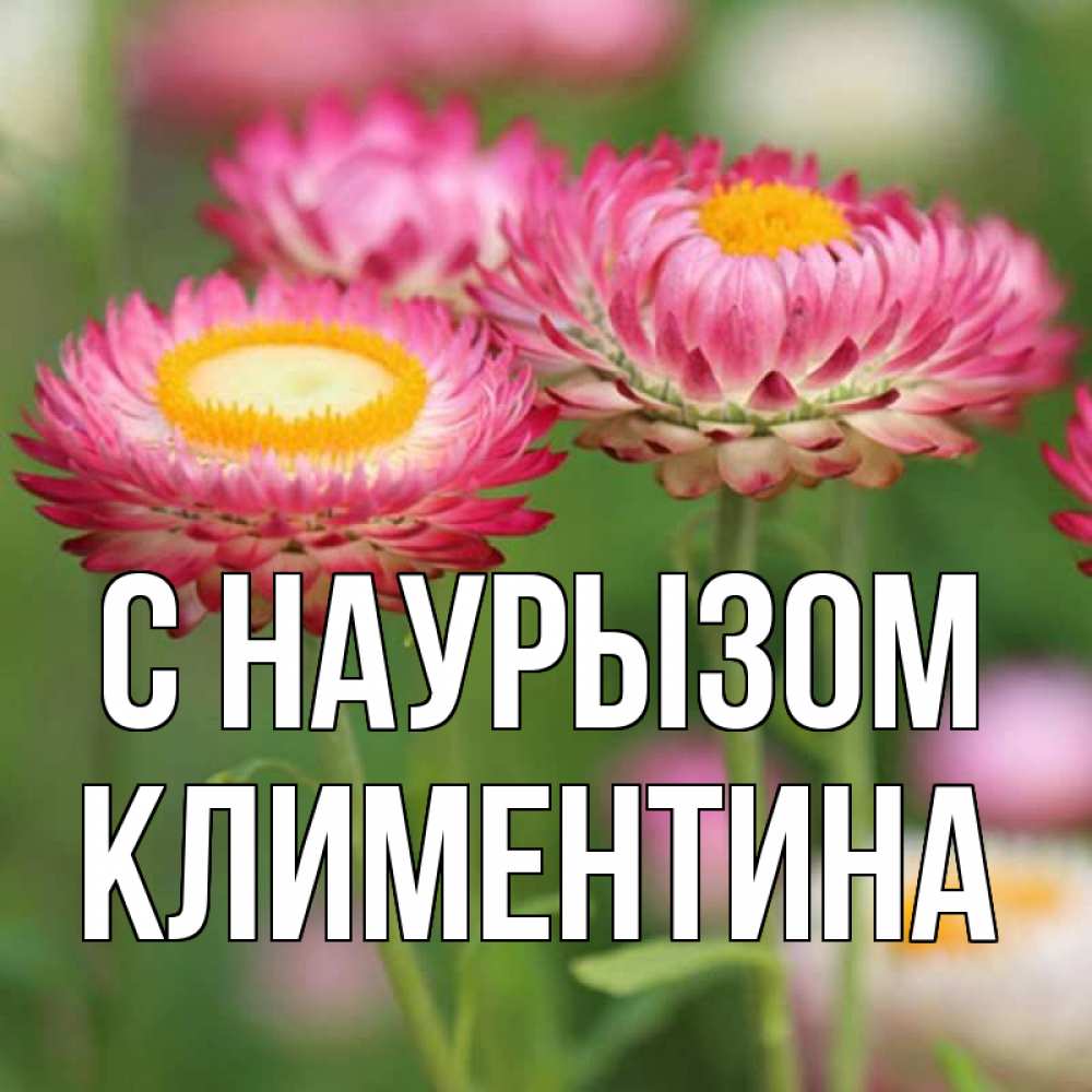 Открытка на каждый день с именем, Климентина С наурызом подарок на международный женский день Прикольная открытка с пожеланием онлайн скачать бесплатно 