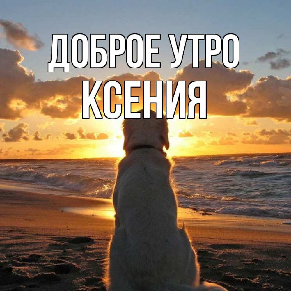Открытка на каждый день с именем, Ксения Доброе утро восход солнца Прикольная открытка с пожеланием онлайн скачать бесплатно 