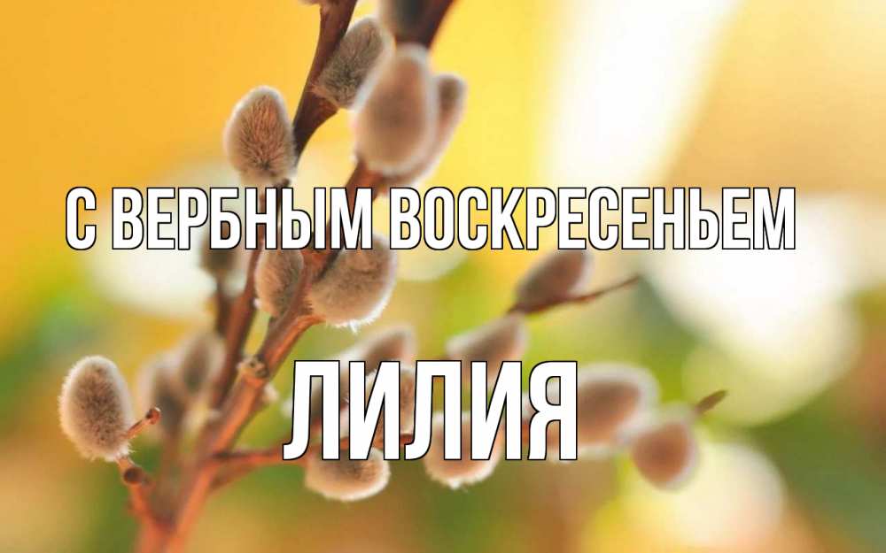Открытка на каждый день с именем, Лилия С вербным воскресеньем верба Прикольная открытка с пожеланием онлайн скачать бесплатно 