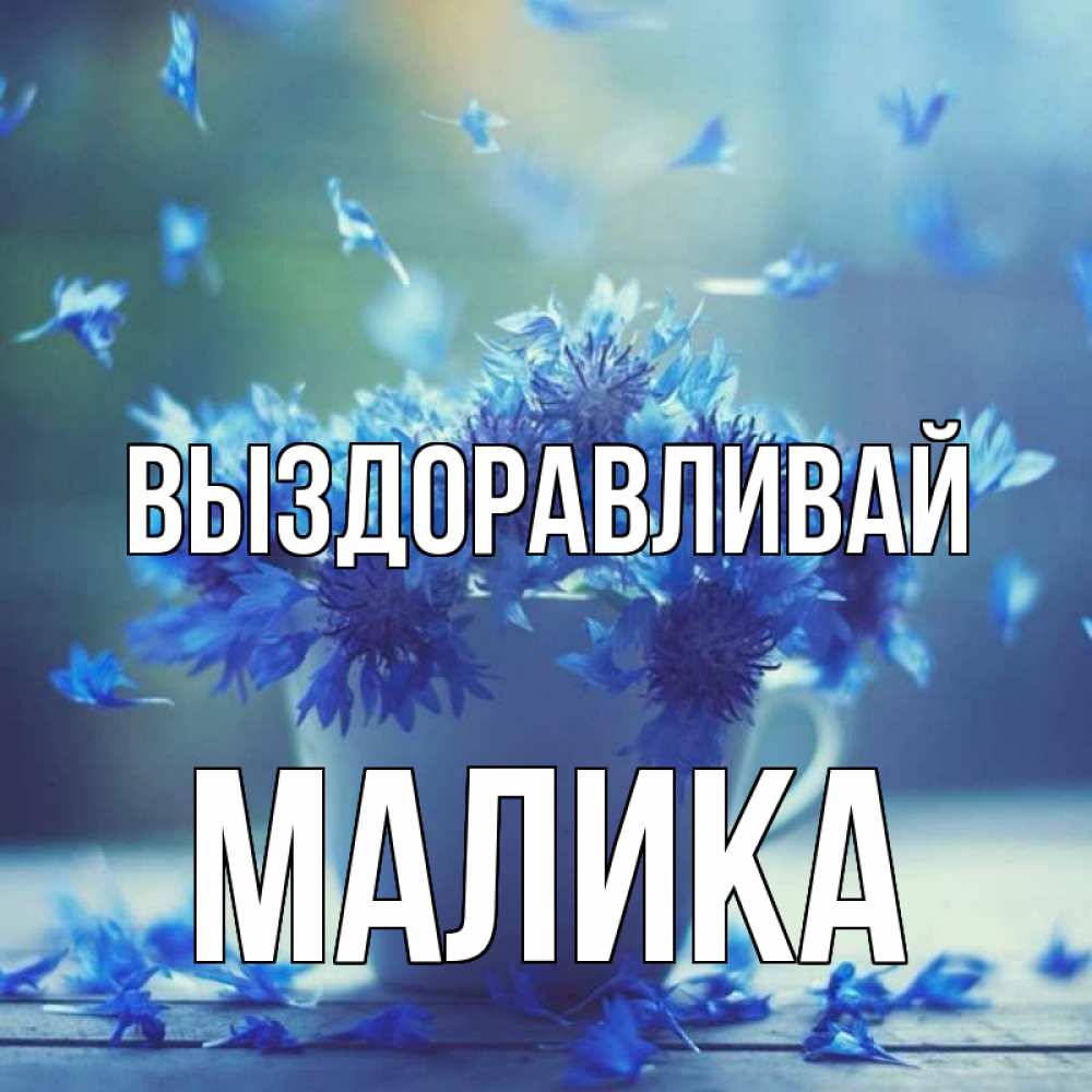 Открытка на каждый день с именем, Малика Выздоравливай кружка с зельем и цветами Прикольная открытка с пожеланием онлайн скачать бесплатно 