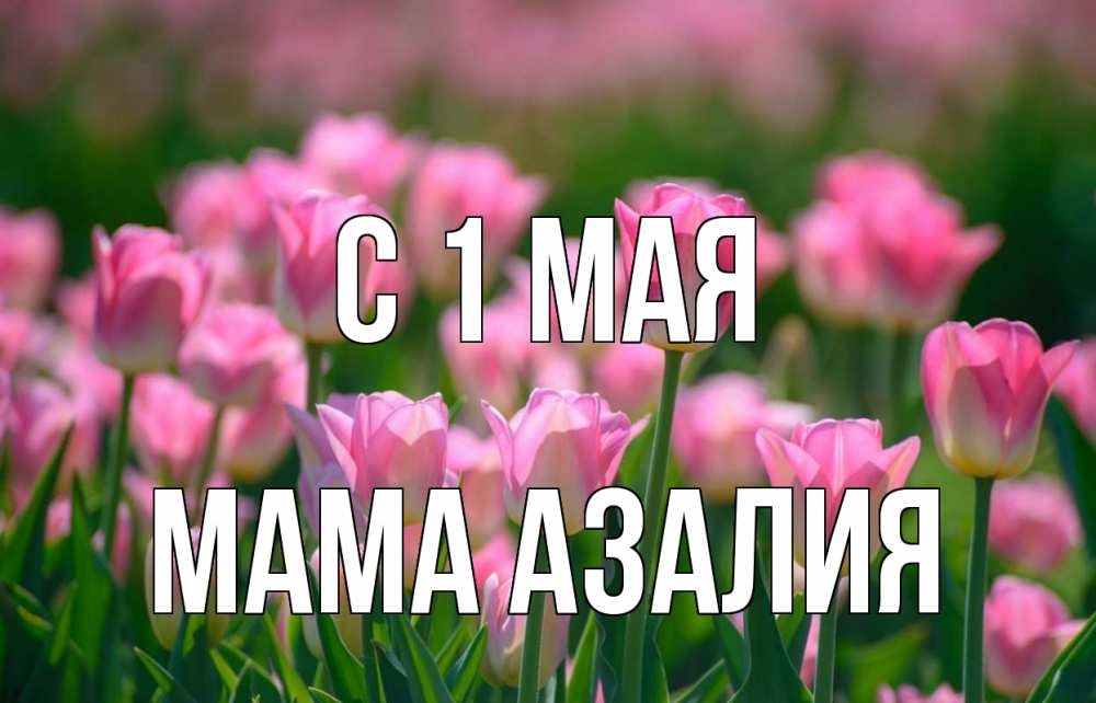 Открытка на каждый день с именем, Мама-Азалия С 1 мая С 1 мая Прикольная открытка с пожеланием онлайн скачать бесплатно 