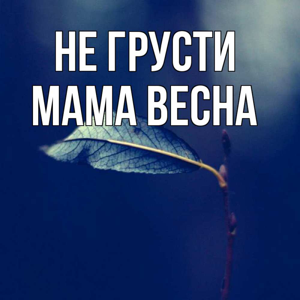 Открытка на каждый день с именем, Мама-Весна Не грусти растение Прикольная открытка с пожеланием онлайн скачать бесплатно 
