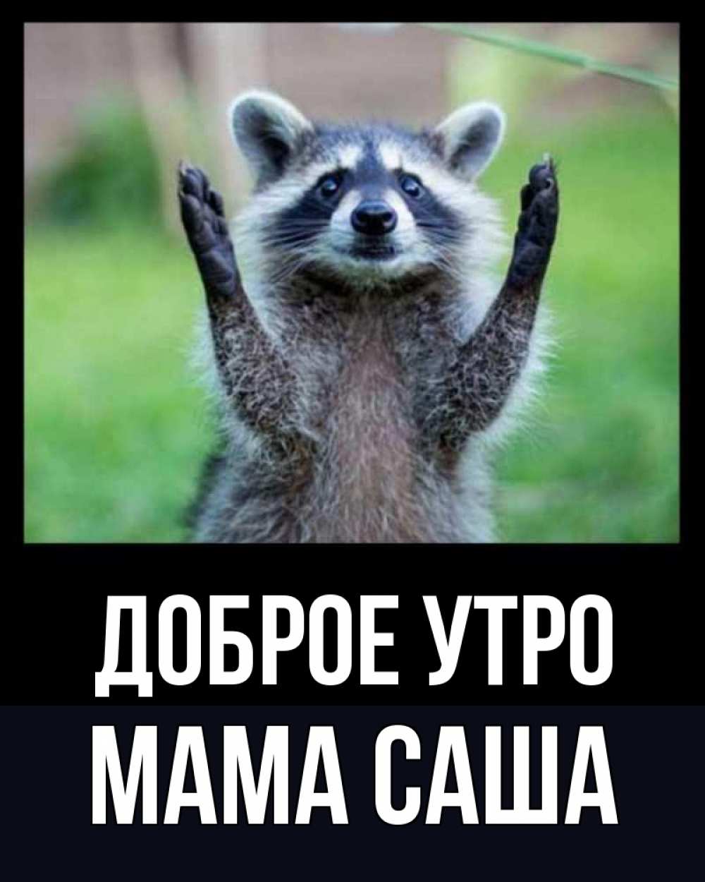 Открытка на каждый день с именем, Мама-Саша Доброе утро хорошее настроение утречком Прикольная открытка с пожеланием онлайн скачать бесплатно 