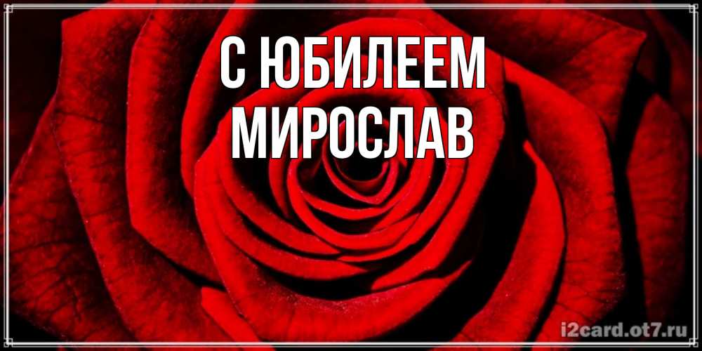 Открытка на каждый день с именем, Мирослав С юбилеем алая роза Прикольная открытка с пожеланием онлайн скачать бесплатно 