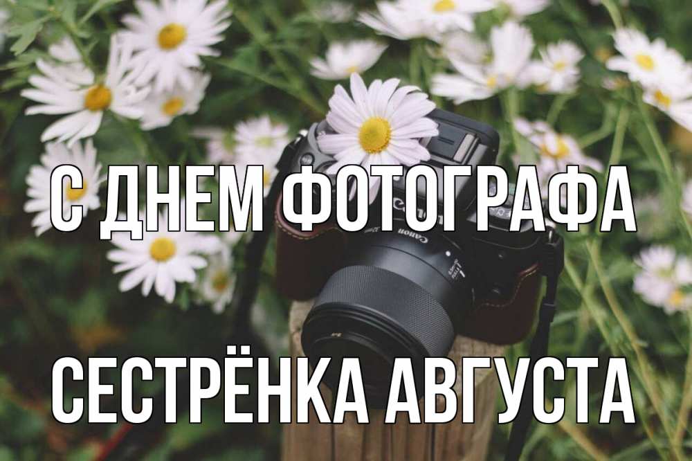 Открытка на каждый день с именем, Сестрёнка-Августа С днем фотографа с днем фотографа Прикольная открытка с пожеланием онлайн скачать бесплатно 