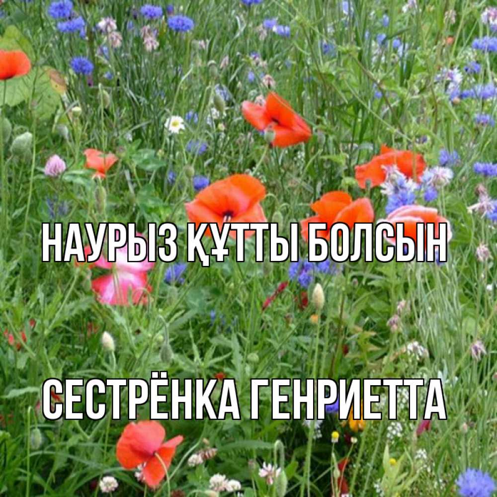 Открытка на каждый день с именем, Сестрёнка-Генриетта Наурыз құтты болсын наурыз  4 Прикольная открытка с пожеланием онлайн скачать бесплатно 
