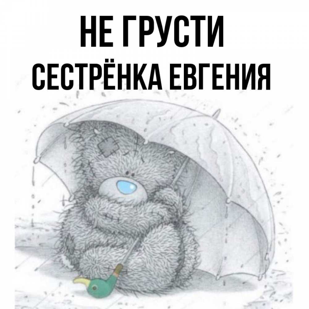 Открытка на каждый день с именем, Сестрёнка-Евгения Не грусти спасите мишку Тедди Прикольная открытка с пожеланием онлайн скачать бесплатно 