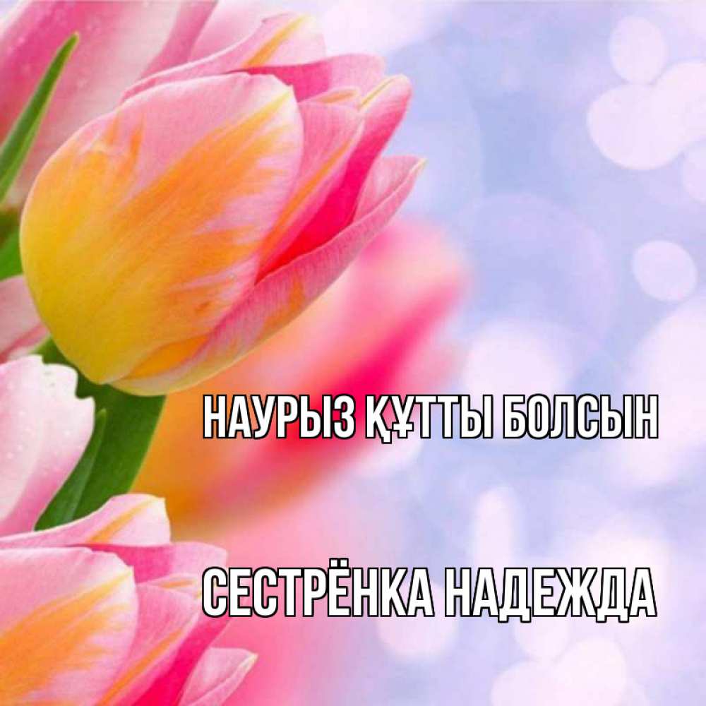 Открытка на каждый день с именем, Сестрёнка-Надежда Наурыз құтты болсын тюльпаны 2 Прикольная открытка с пожеланием онлайн скачать бесплатно 